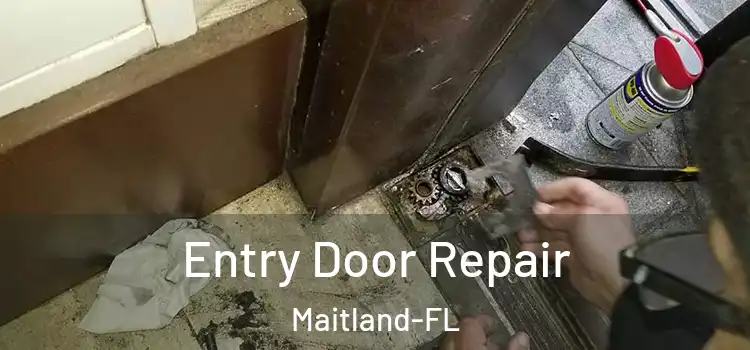 Entry Door Repair Maitland-FL