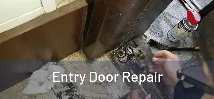 Entry Door Repair